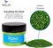 Rolio - 1 Jar Vibrant Holographic Glitter (Hyla Green) - 1 oz